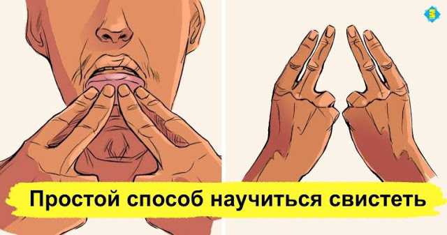 Как научиться громко свистеть • всезнаешь.ру