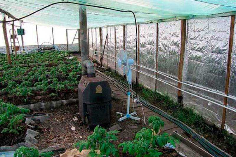 Теплица зимой из поликарбоната / выращивание урожая в теплице зимой фото и видео