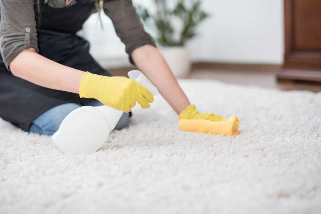 Как почистить ковер снегом: советы, как правильно провести чистку коврового покрытия