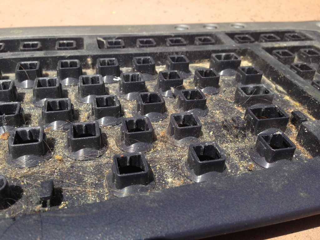 Залил клавиатуру и не работают клавиши: что делать и как исправить