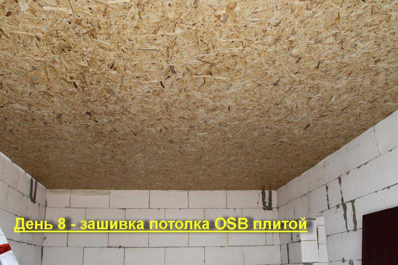 Потолок из плит осб: особенности монтажа и отделки
