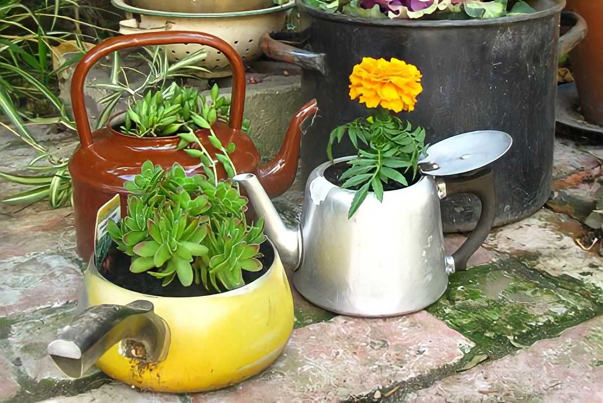 Что сделать из старого чайника: 13 потрясающих идей | огородники