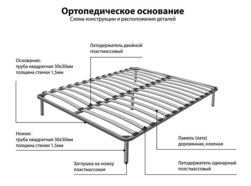 Обзор типов ламелей для кровати: для чего нужны, из каких материалов делают, как подобрать для ортопедического эффекта, инструкция по изготовлению