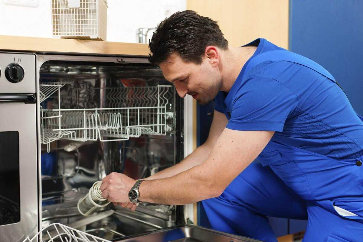 Как выбрать посудомоечную машину для дома - полная инструкция на tehcovet.ru