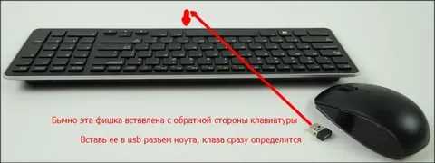 Особенности подключения беспроводной мыши к ноутбуку и компьютеру, подключение беспроводной клавиатуры