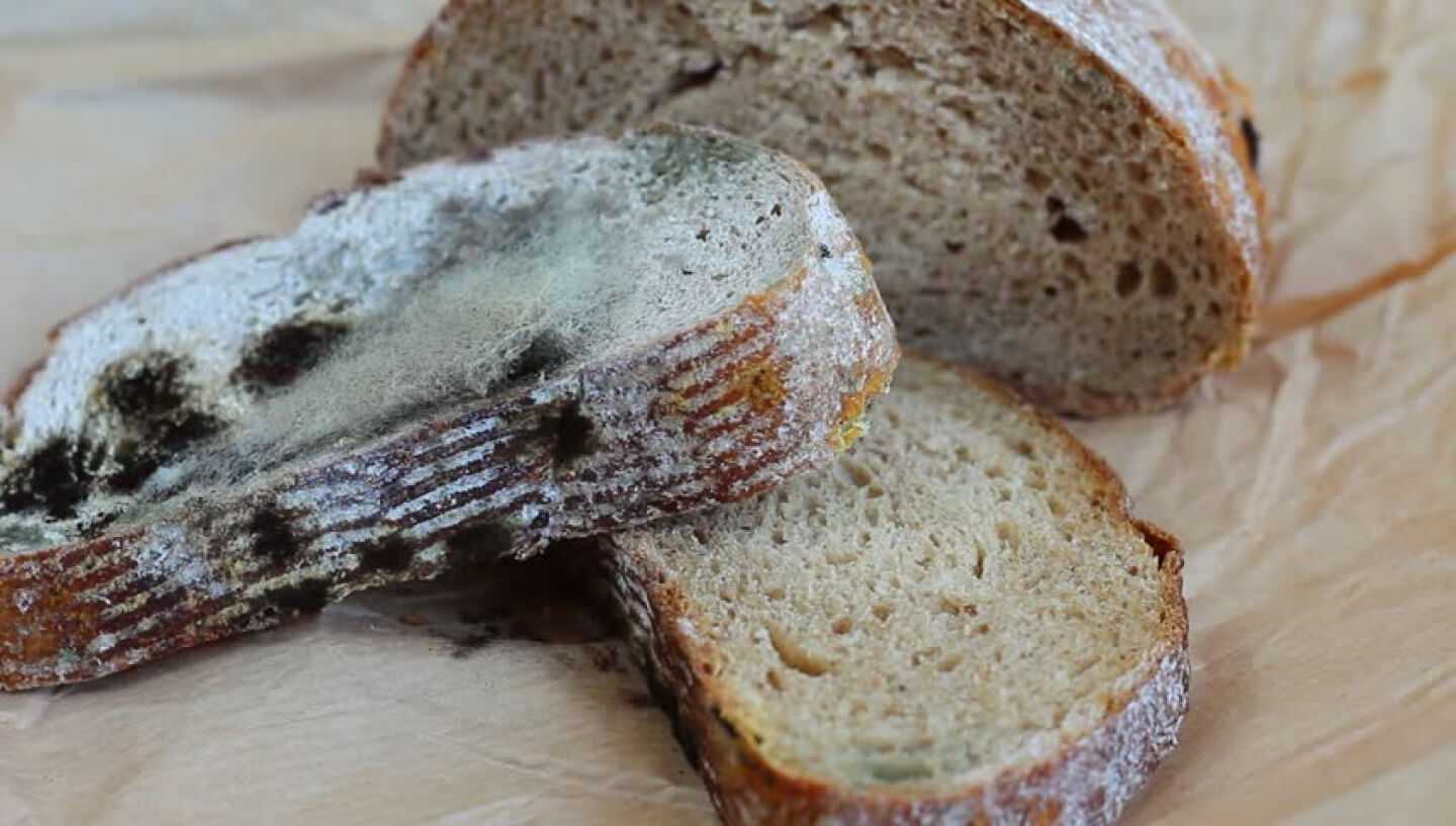 Хлеб без плесени
