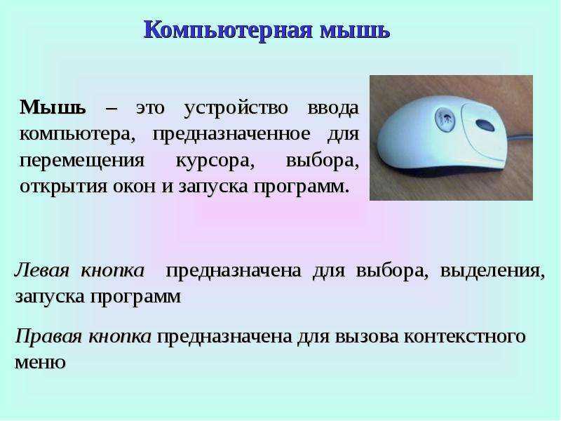 Как правильно называется мышь для компьютера - az-smm.ru