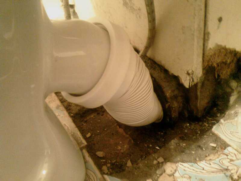 Как устранить запах из канализации в ванной и туалете - aqueo.ru