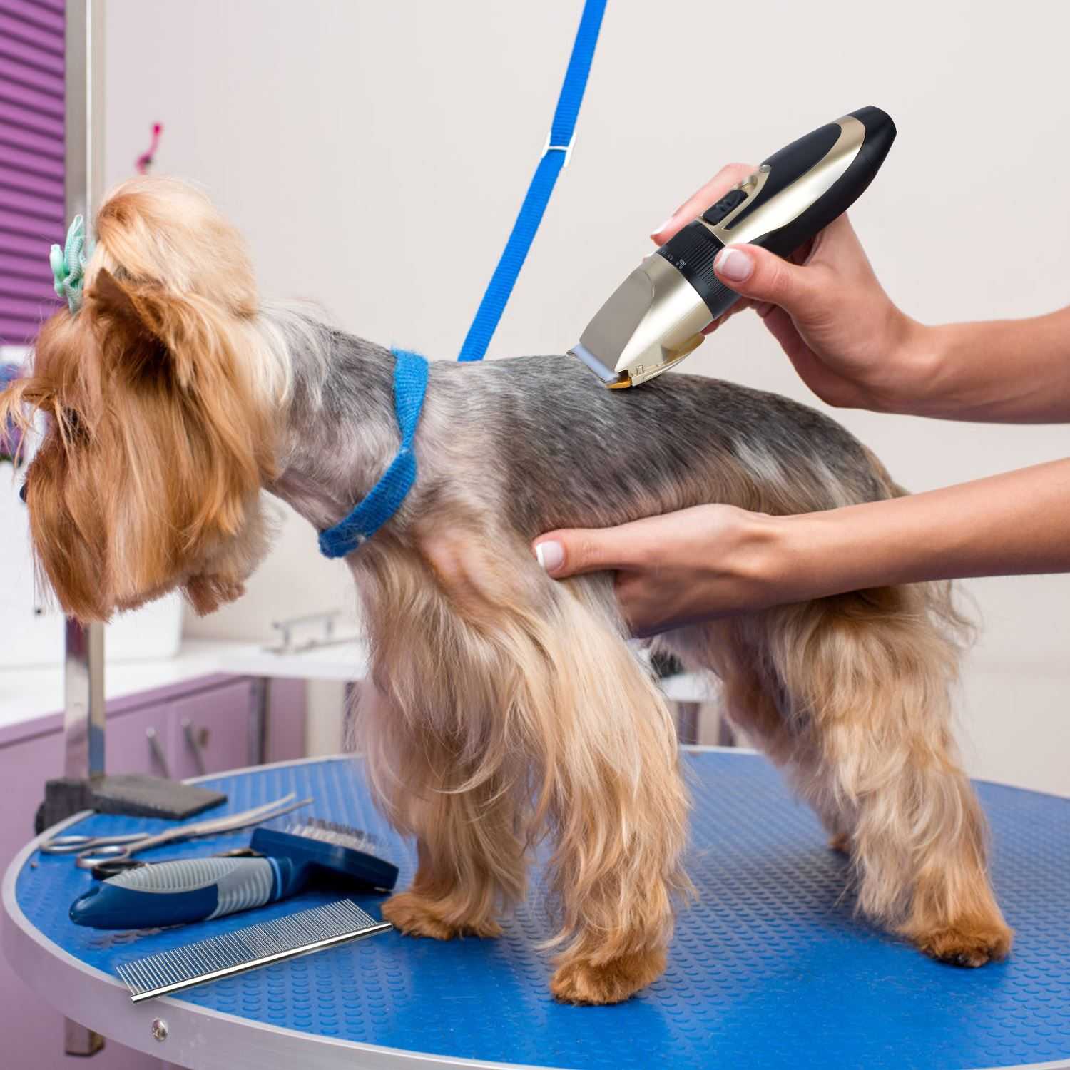 Как выбрать машинку для стрижки собак в домашних условиях, простые или профессиональную, роторную или механическую