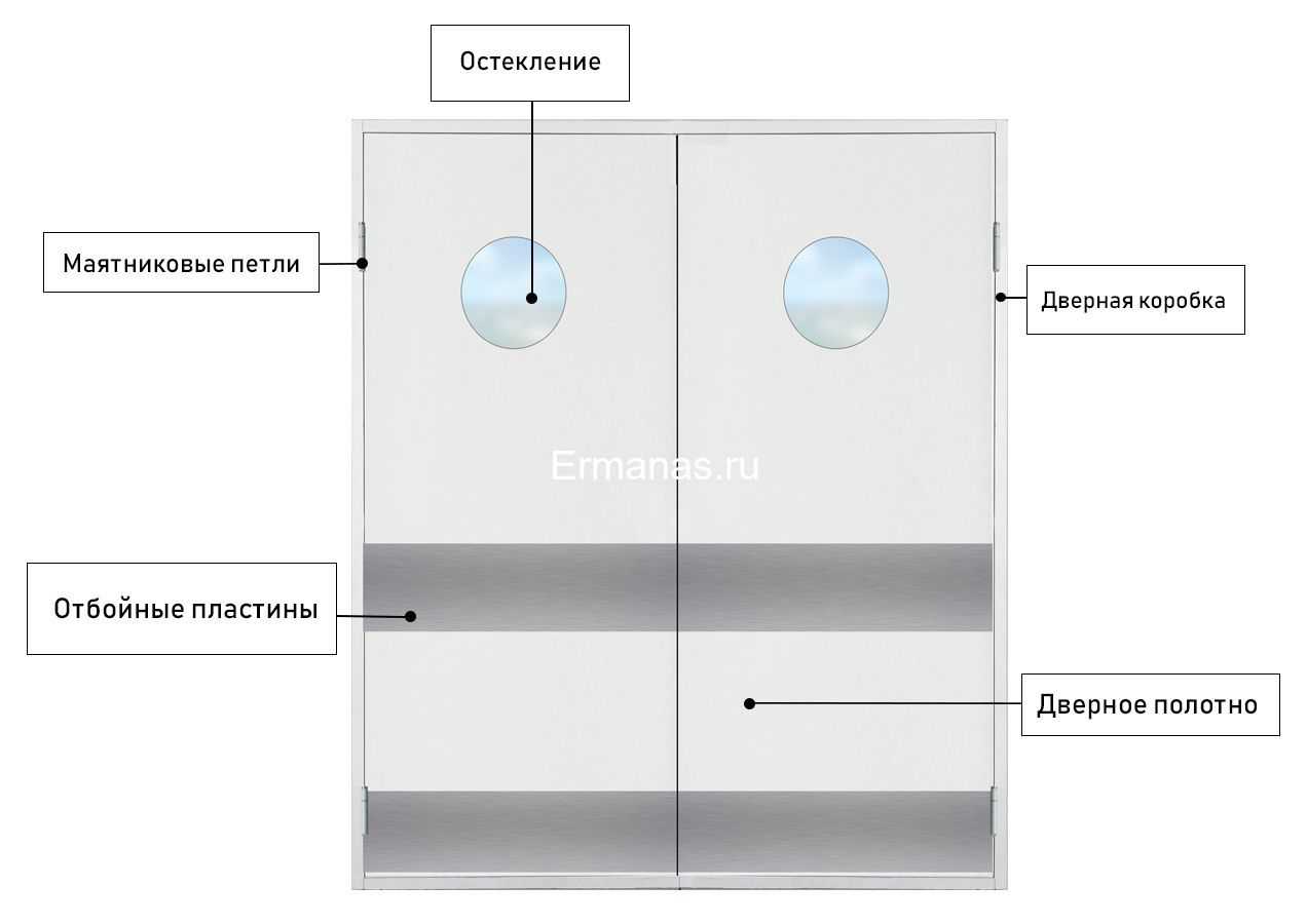 Маятниковые двери двухстороннего открывания: стеклянные, алюминиевые и противопожарные