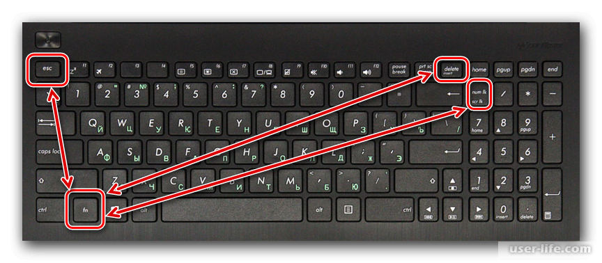 F2 enter. Сочетания кнопок на ноуте асус. F1 f2 f3 на клавиатуре. FN f11 на клавиатуре. FN на клавиатуре ноутбука ASUS.